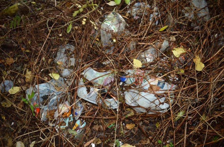 Some of the rubbish found.