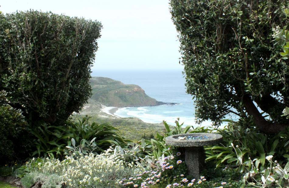 A shelter hedge with a gap cut to frame the coastal view. Photos by Gillian Vine.