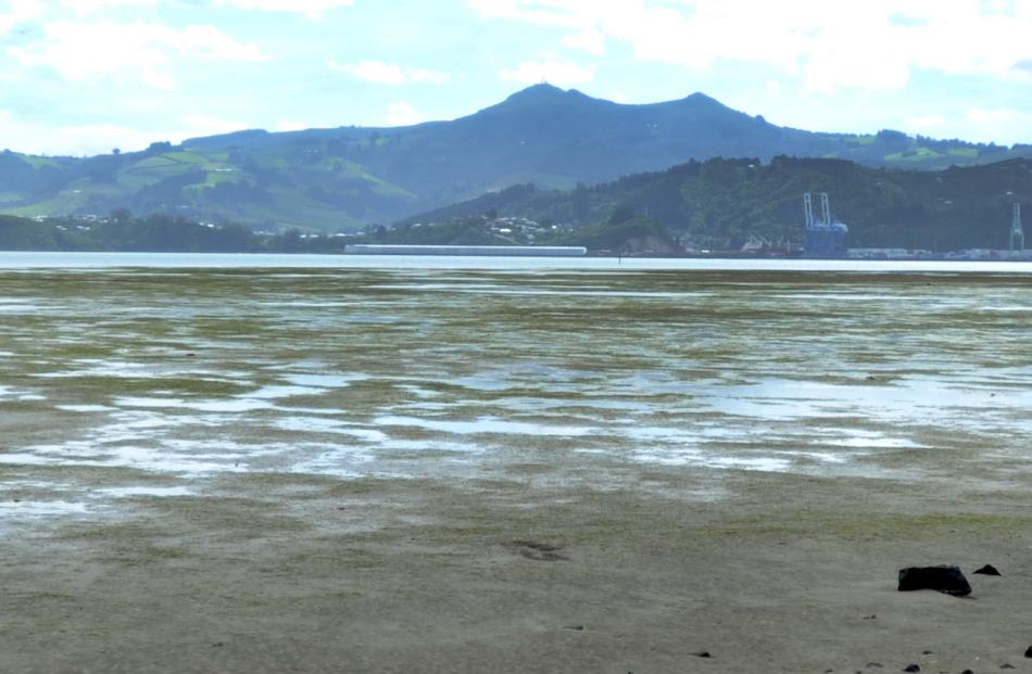 Low tide at Harwood.