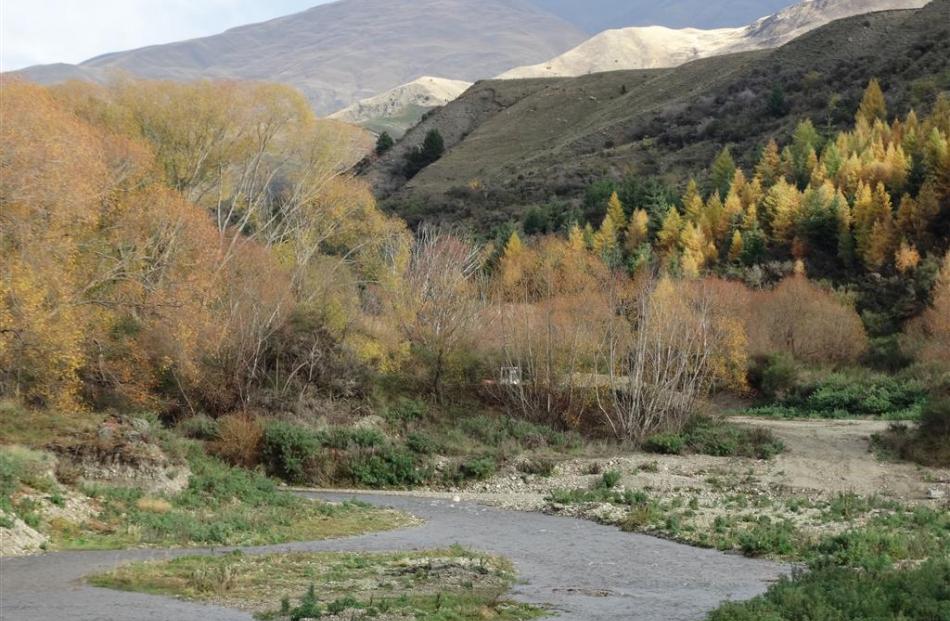 The Cardrona River at the Larches, where water is of ‘‘very good’’ quality, according to a new...