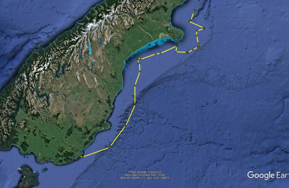 The map shows the trajectory of a yellow-eyed penguin with a transmitter on its back. Image: Supplied