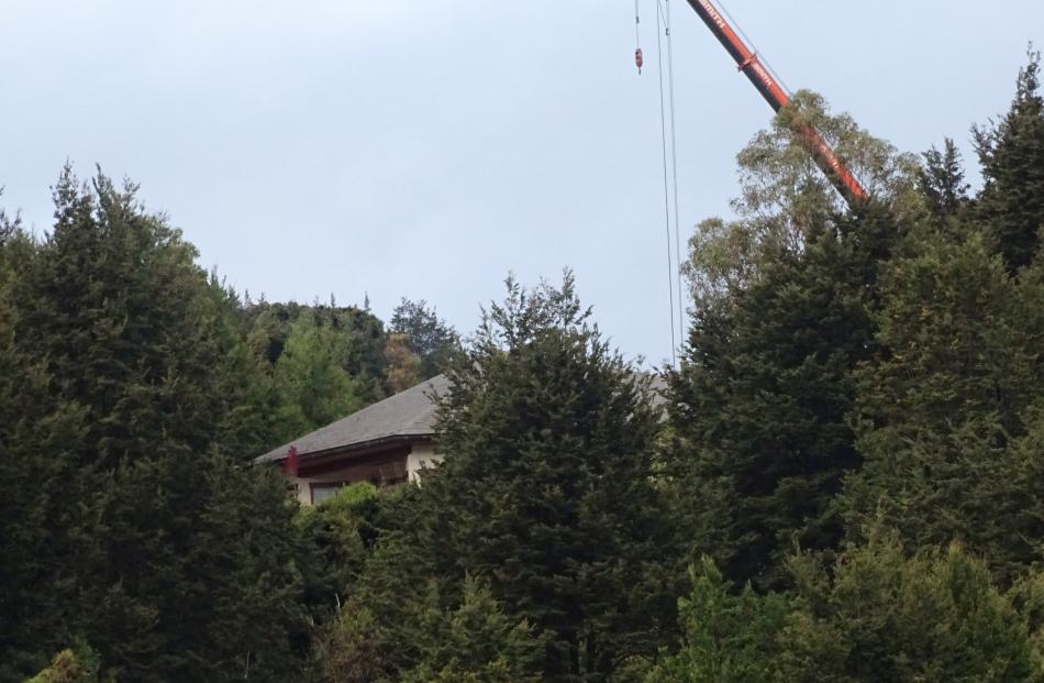 A crane's boom extends above the trees at Closeburn Station, near Queenstown. PHOTOS: DAVID WILLIAMS