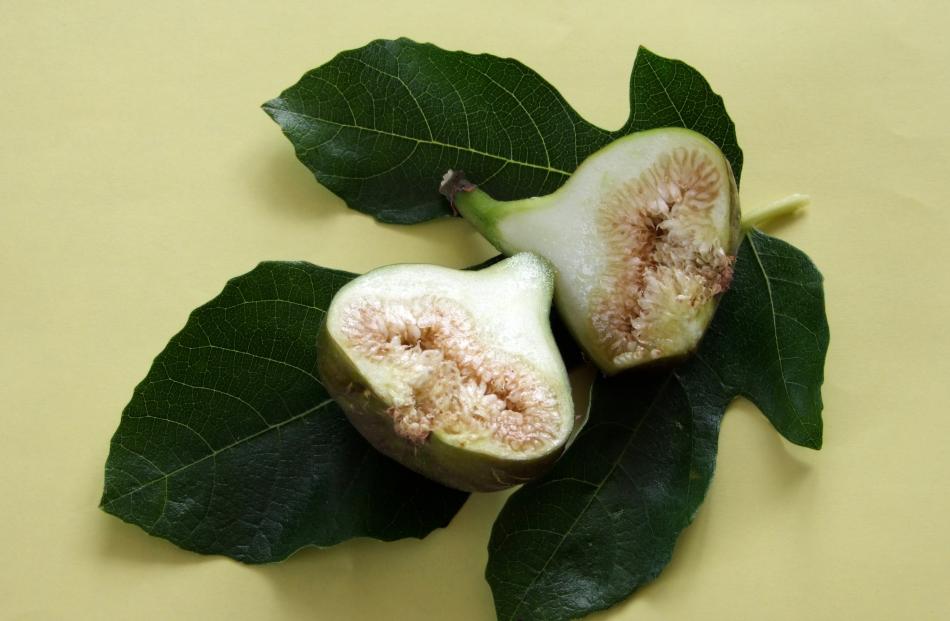 The seeds of figs are actually individual little flowers. Photo: Gillian Vine