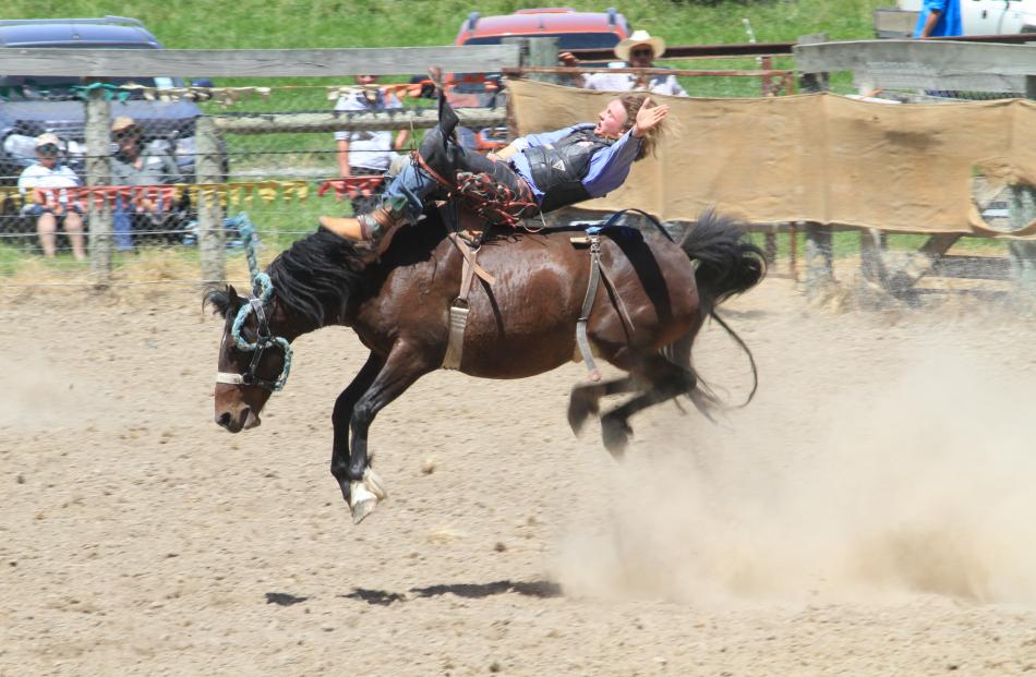 Hadlee Knight, of Wanaka, competes in trhe 2nd Div bareback at the Omarama Rodeo yesterday....