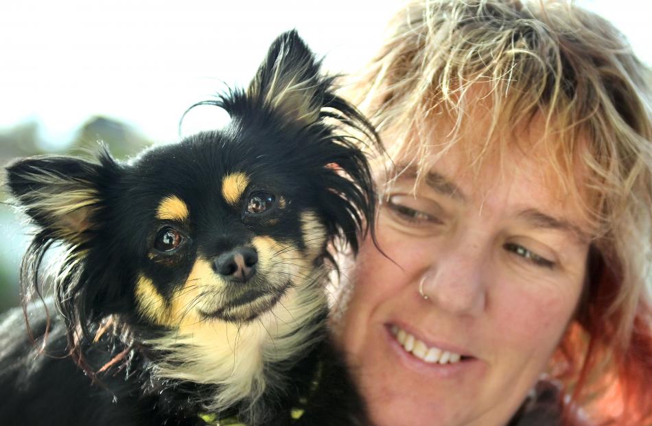 Chucky and owner Carrie-Anne Caley have been reunited after a tug of war over the young Chihuahua...