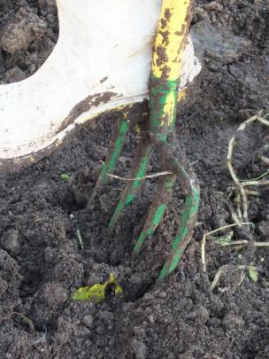 Pay as you go ... Buy gardening tools as needed. PHOTO: GILLIAN VINE