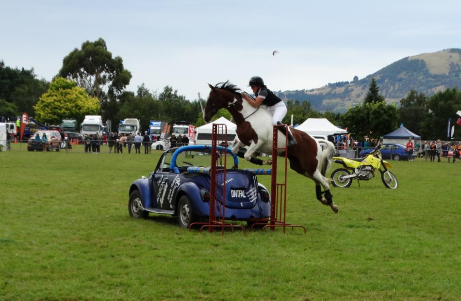 Trick rider Talia Allison returned to the Otago Taieri A&P Show on Saturday with her horse Shelby. Here, Allison jumps Shelby over a car while riding bareback and without a bridle. Photos: Brenda Harwood