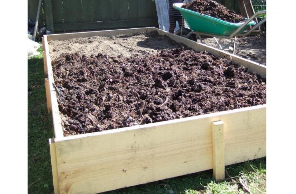 4: Add a good thick layer of compost on top, up to 10cm if you can get your hands on that much.