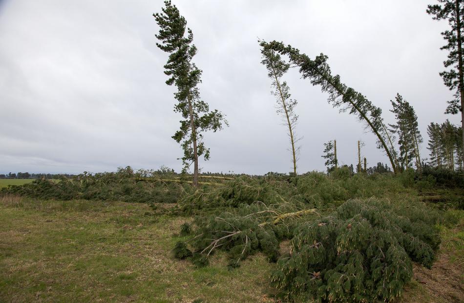 Te Pirata Rd, Hororata. Photo: Geoff Sloan