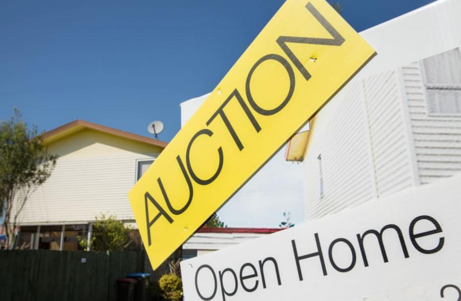 Photo: RNZ / Cole Eastham-Farrelly