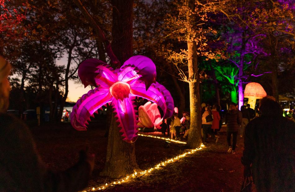 Glow in the Park is shifting from the Tiwnald Domain to the Ashburton Domain next year. Photo:...