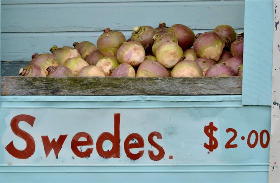 Swedes for sale at a roadside stall in Stirling, South Otago. Photo by Gerard O'Brien.