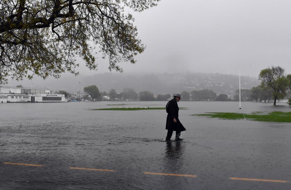 A pedestrian wades through floodwater past Bathgate Park in Macandrew Rd yesterday. PHOTO:...