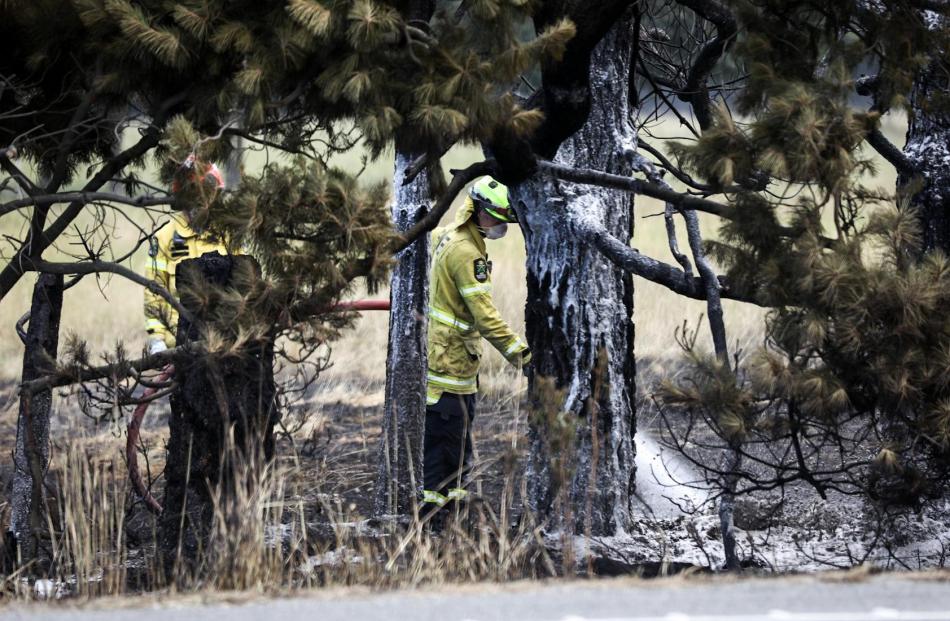Canterbury's dry, hot summers put it at risk of fires. Photo: RNZ / Nathan Mckinnon / File image