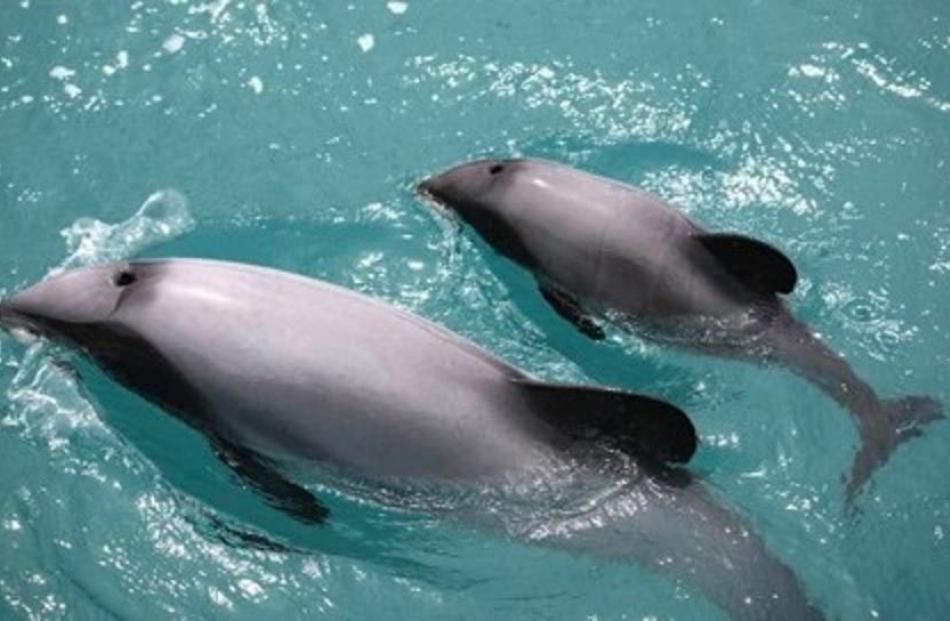 Photo: Supplied / Genevieve Robinson