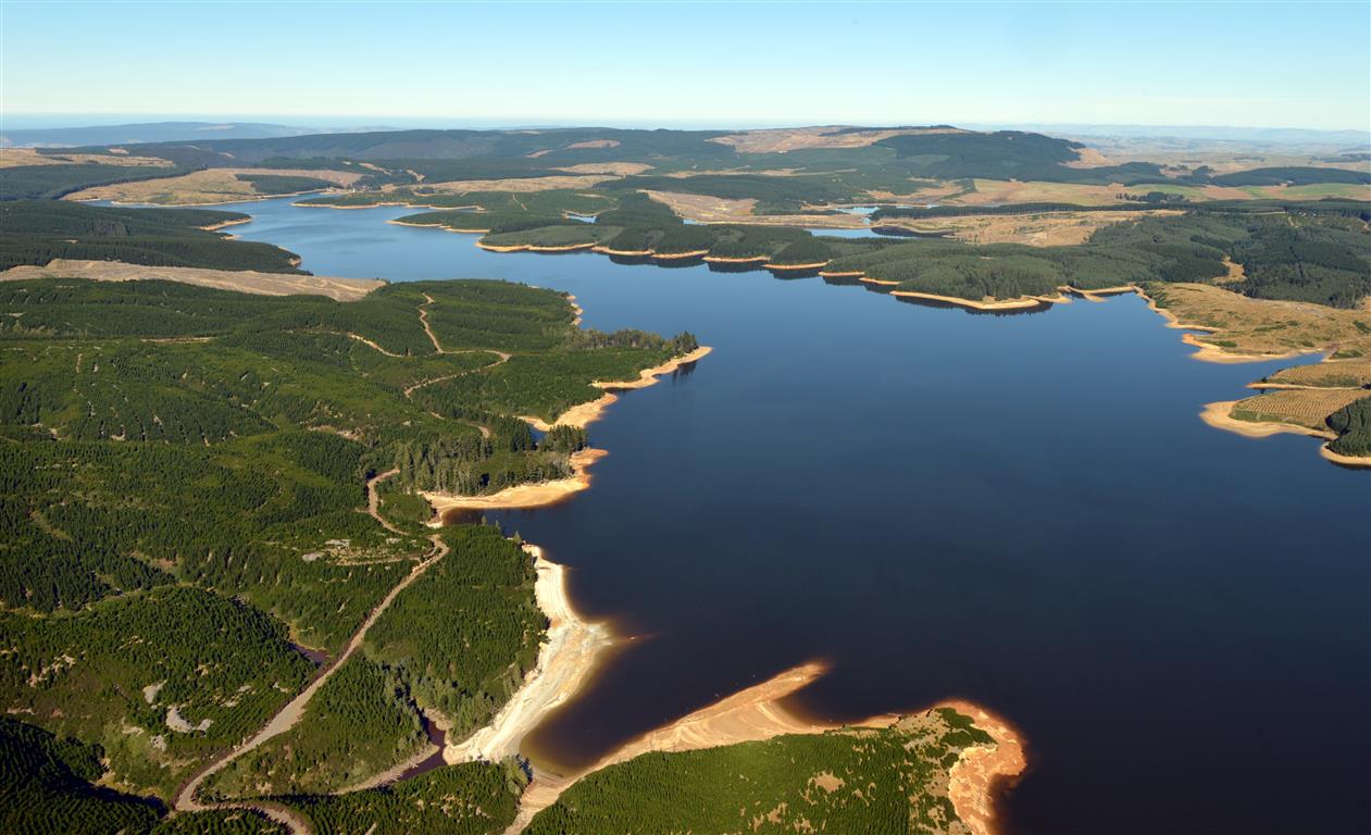 The Lammerlaw Gold-Antimony Project says it has made a $4 billion gold discovery near Lake...