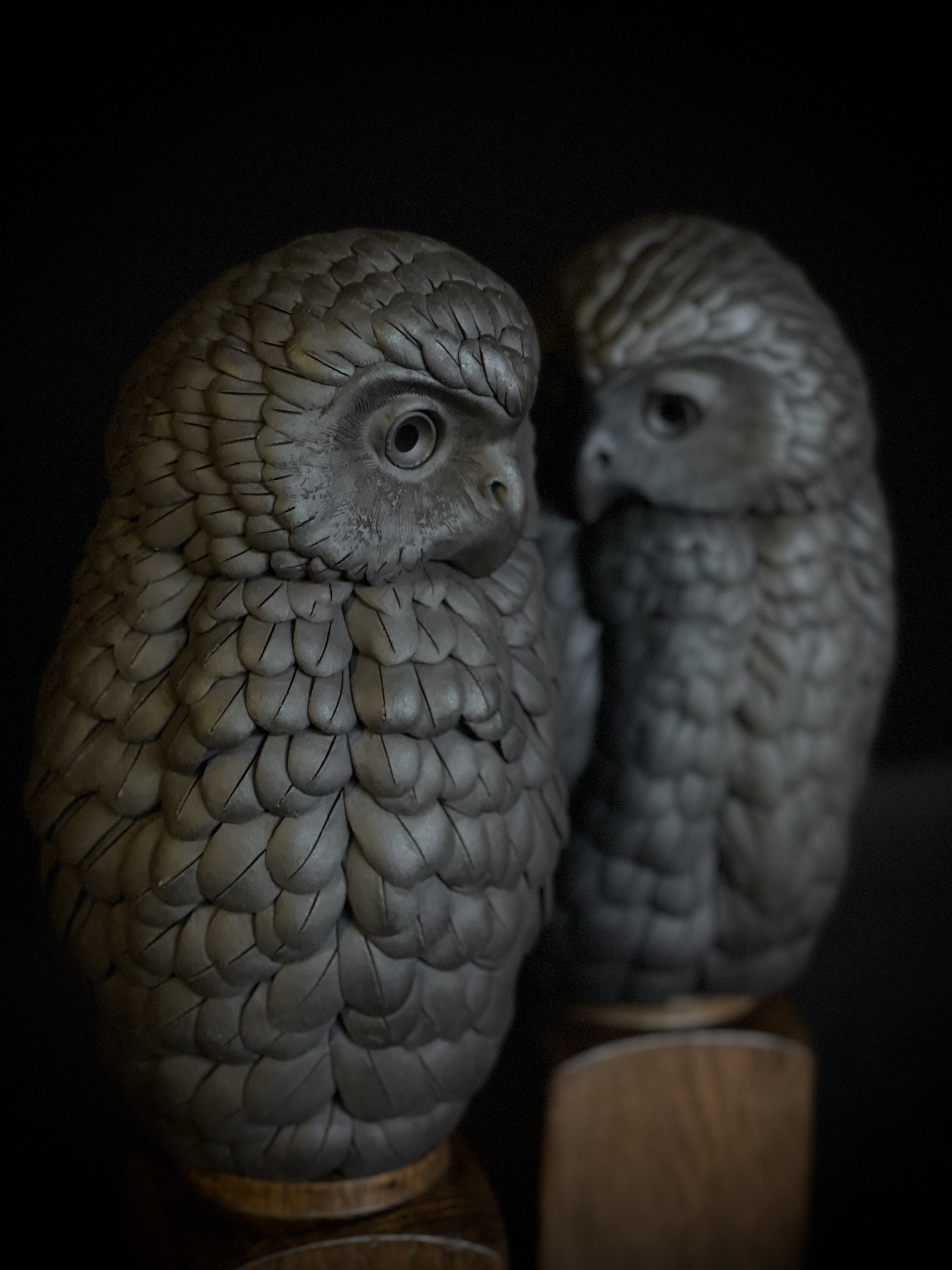 Ruru III and IV (detail), by Tim Main. Photo: Gallery Thirty Three