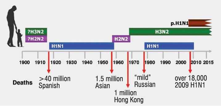 Influenza and pandemics (ie global epidemic) of the past century. Image: supplied