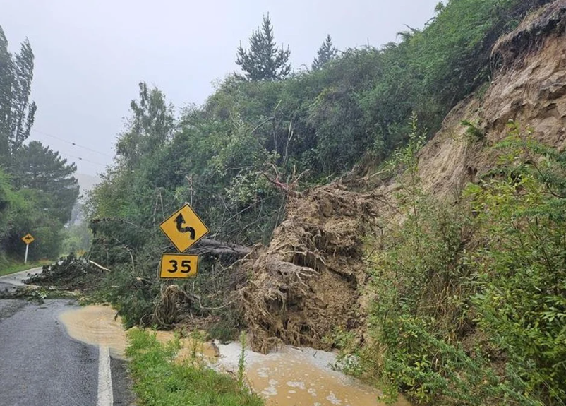 A tree was down on the Governors Bay-Teddington Rd, near Allandale, this morning. Photo: RNZ 