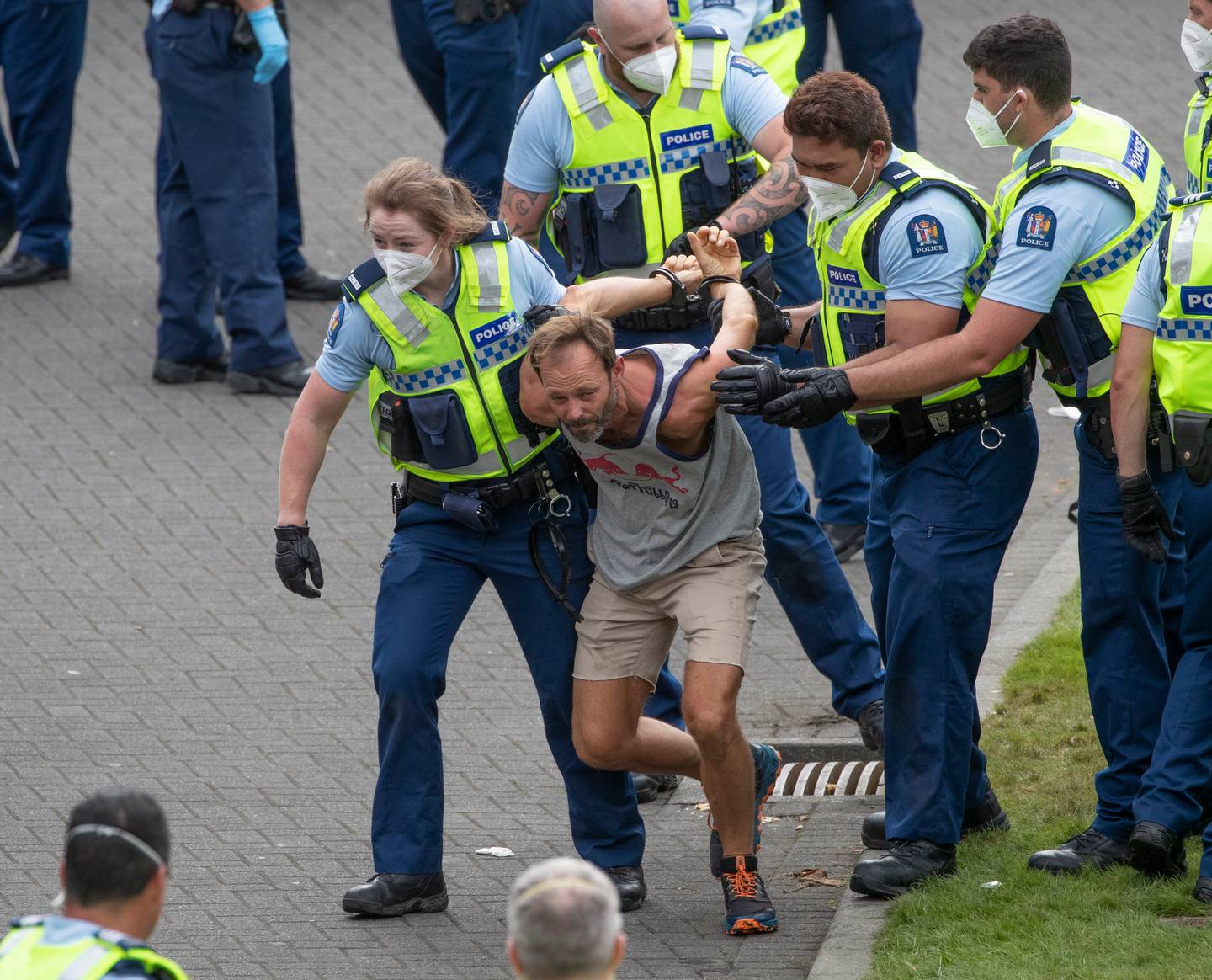 Police made dozens of arrests at the protest in Wellington today. Photo / Mark Mitchell