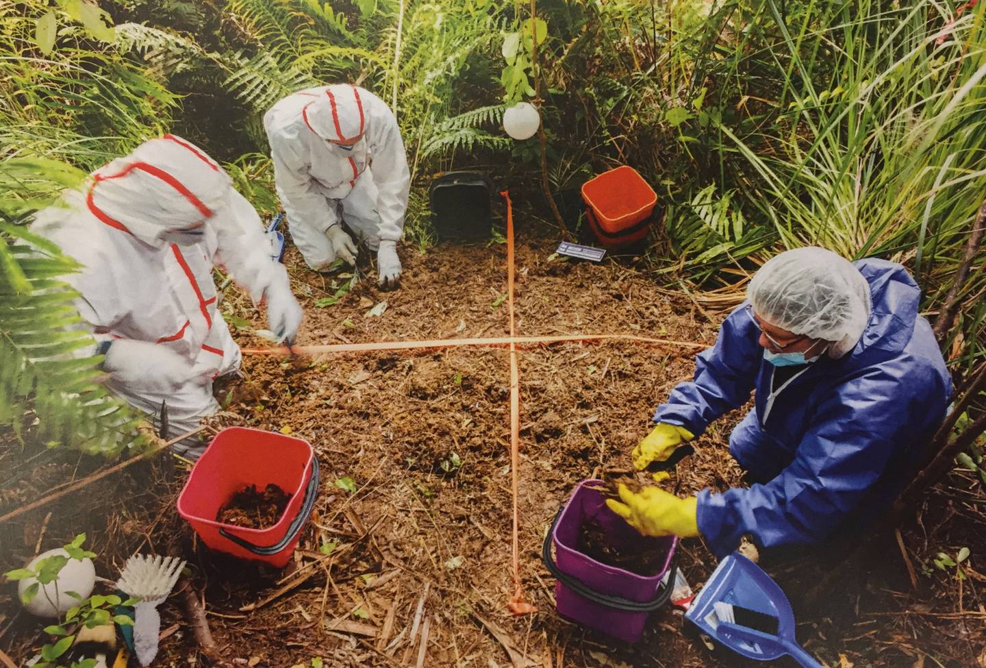 Police forensic experts sift through the site where Grace Millane's body was found in the...