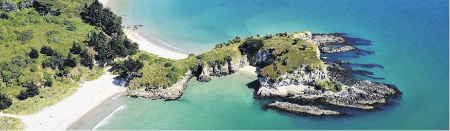 The Mapoutahi Pa site. PHOTO: GERARD O’BRIEN