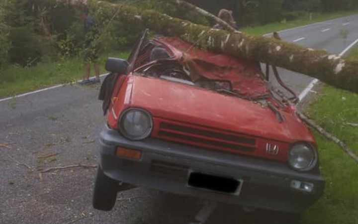 Ryan Walsh survived after a tree fell on his car. Photo: Ryan Walsh via RNZ