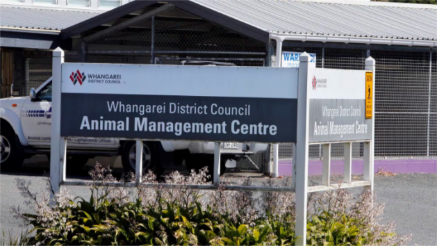 The workplace dynamics of the Whangārei pound are being played out in court this week in the case...