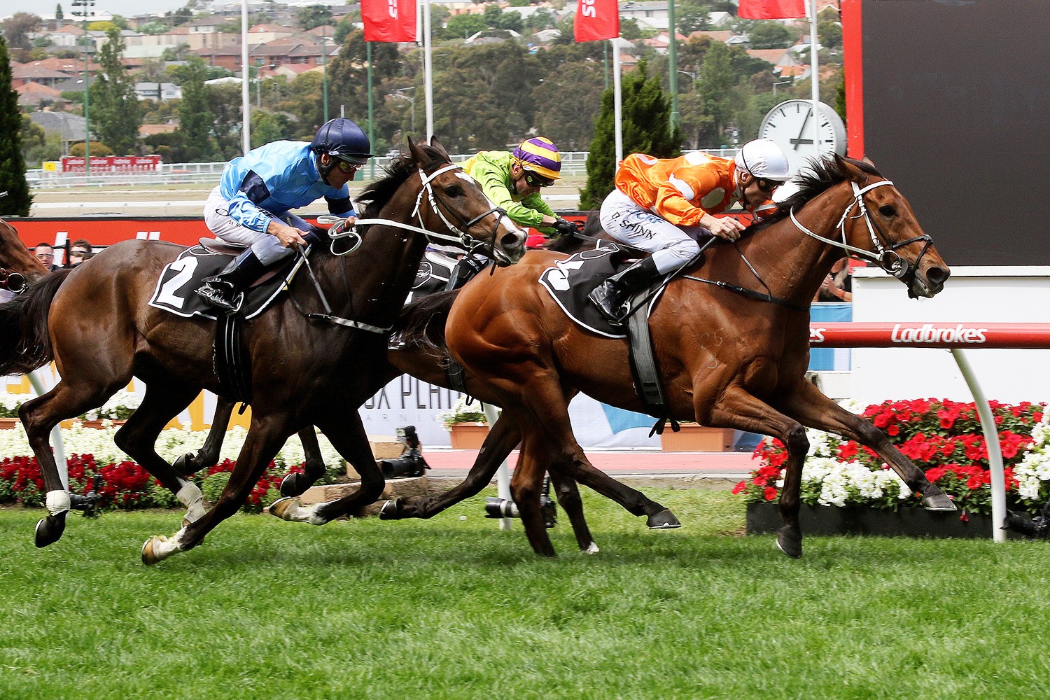 Who Shot Thebarman out of Melbourne Cup Otago Daily Times Online News Who Shot Thebarman out of Melbourne Cup Otago Daily Times Online News