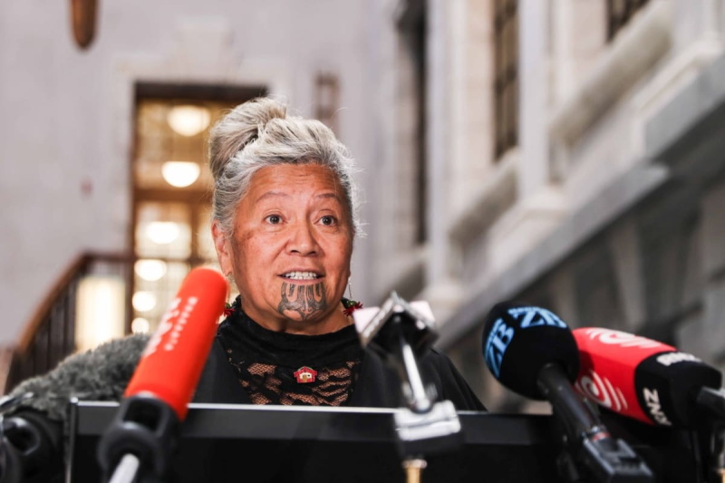 Mariameno Kapa-Kingi has split from Te Pāti Māori to begin Te Tai Tokerau Party. Photo: Samuel...