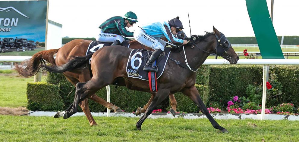 In-form Rochello will contest the open sprint at her favoured Riverton track tomorrow. PHOTO:...